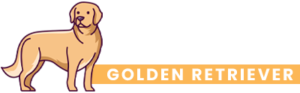 Allevamento Golden Retriever | Leonibus
